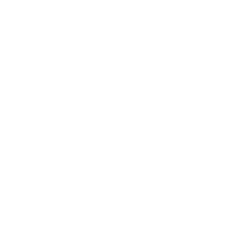 Zenitora